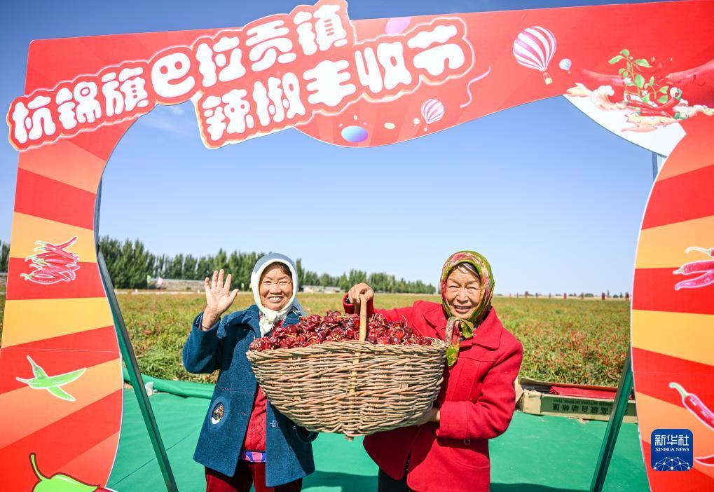 新天地豪娱乐
